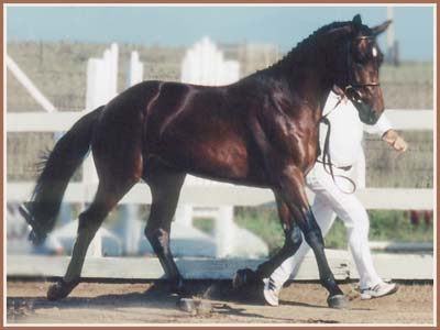 Paramoure at his ATA inspection