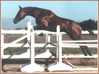 Paramoure jumping