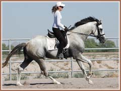 Santiago, June 2008, ridden by Kailee Surplus