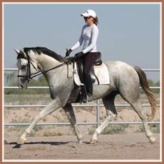 Santiago, June 2008, ridden by Kailee Surplus