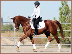 Solana, November 2010, ridden by Kailee Surplus